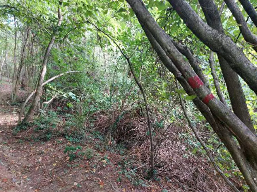 Immagine 2 di Terreno agricolo in vendita  in Via Spersiglio  a Pradalunga