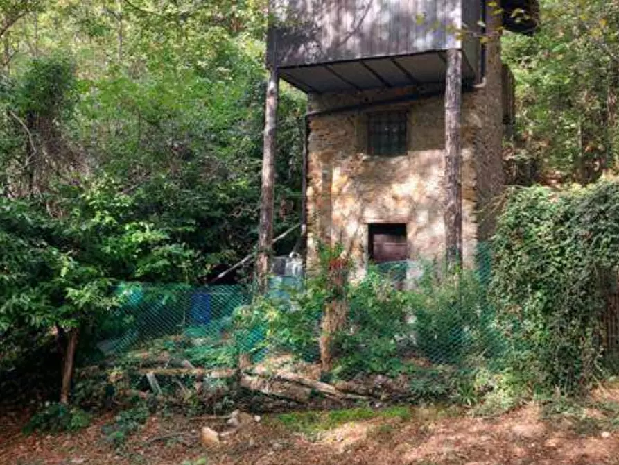 Immagine 3 di Terreno agricolo in vendita  in Via Spersiglio  a Pradalunga