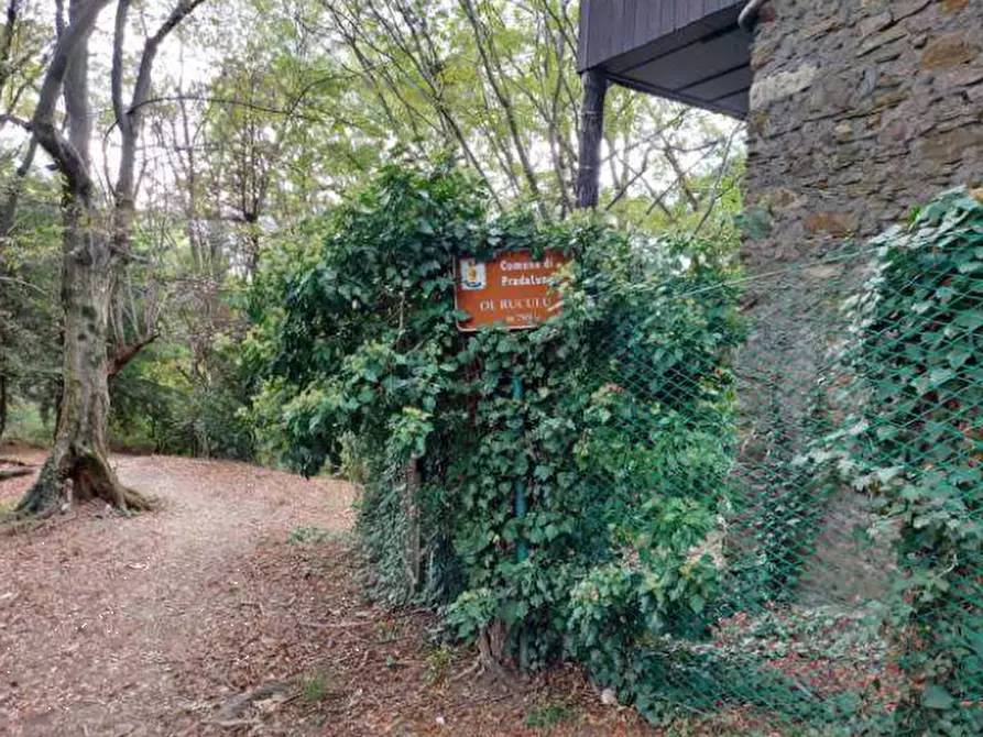 Immagine 6 di Terreno agricolo in vendita  in Via Spersiglio  a Pradalunga
