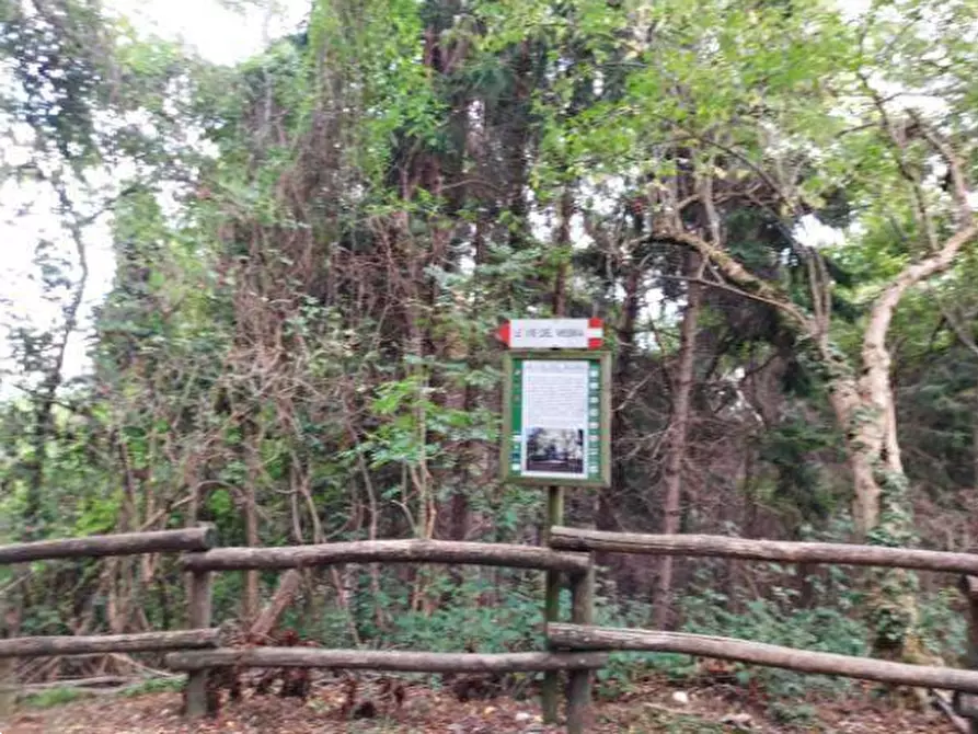 Immagine 7 di Terreno agricolo in vendita  in Via Spersiglio  a Pradalunga