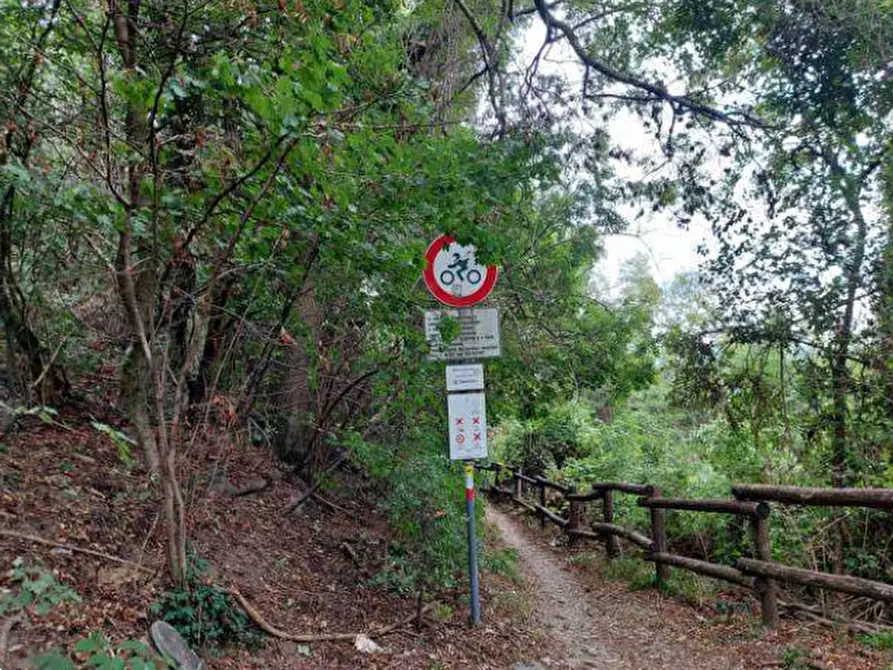 Immagine 8 di Terreno agricolo in vendita  in Via Spersiglio  a Pradalunga