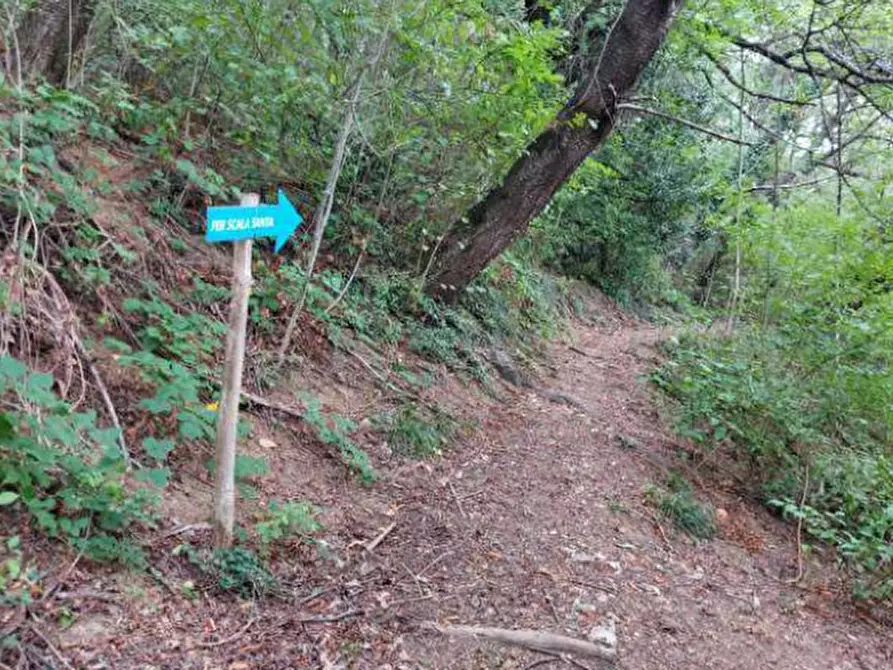 Immagine 9 di Terreno agricolo in vendita  in Via Spersiglio  a Pradalunga