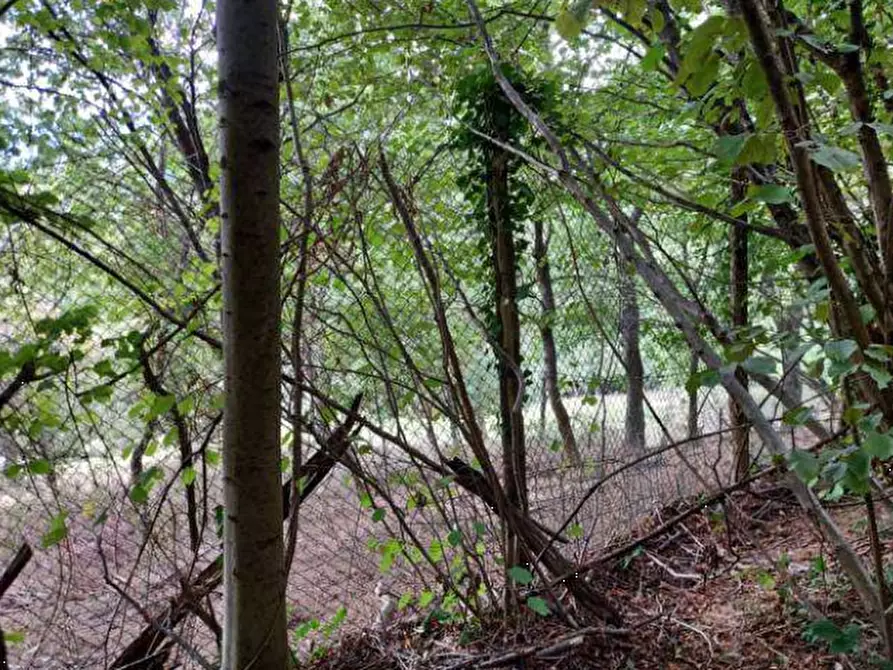 Immagine 10 di Terreno agricolo in vendita  in Via Spersiglio  a Pradalunga