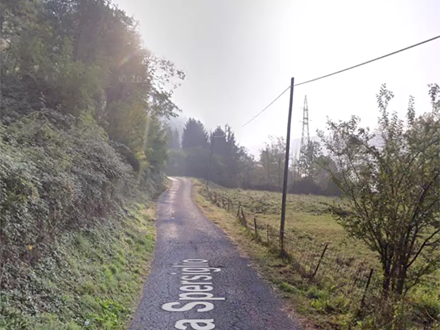 Immagine 16 di Terreno agricolo in vendita  in Via Spersiglio  a Pradalunga