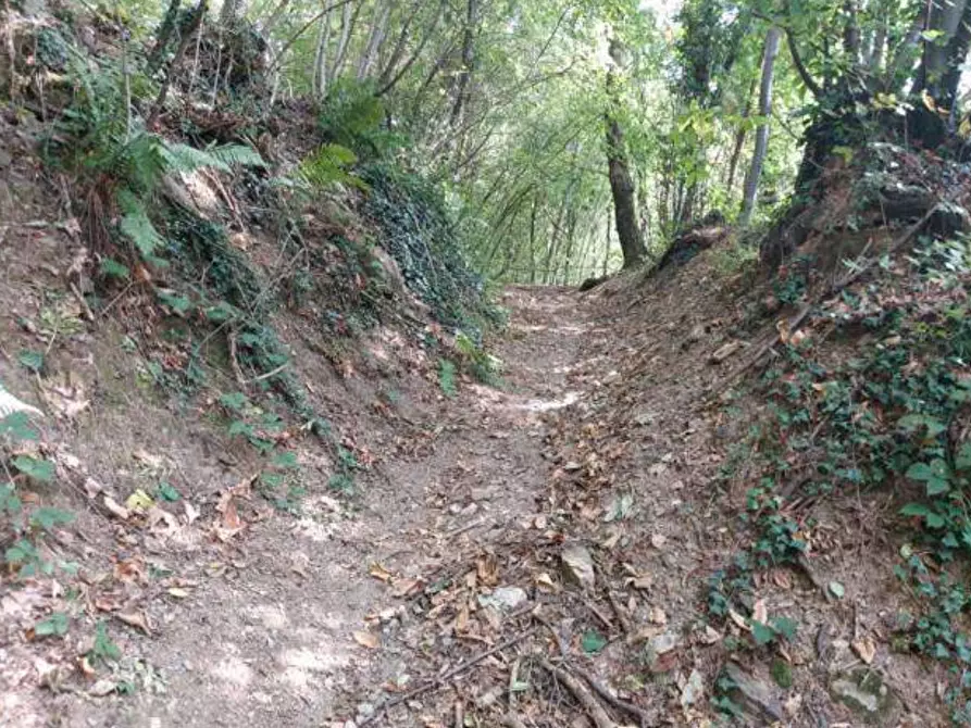 Immagine 31 di Capannone industriale in vendita  in via Spersiglio a Pradalunga