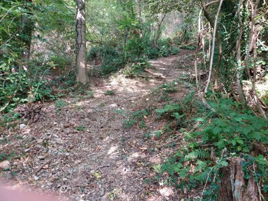 Immagine 32 di Capannone industriale in vendita  in via Spersiglio a Pradalunga