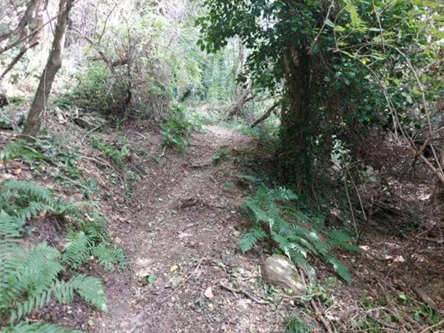 Immagine 33 di Capannone industriale in vendita  in via Spersiglio a Pradalunga