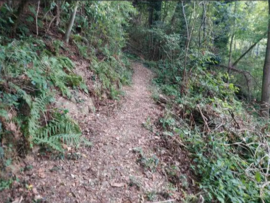 Immagine 34 di Capannone industriale in vendita  in via Spersiglio a Pradalunga