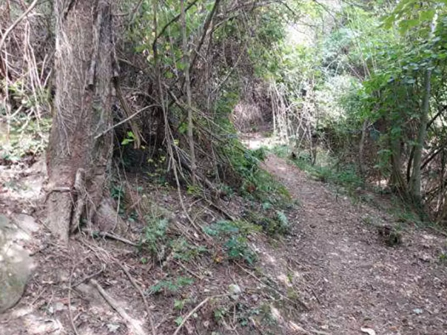 Immagine 35 di Capannone industriale in vendita  in via Spersiglio a Pradalunga
