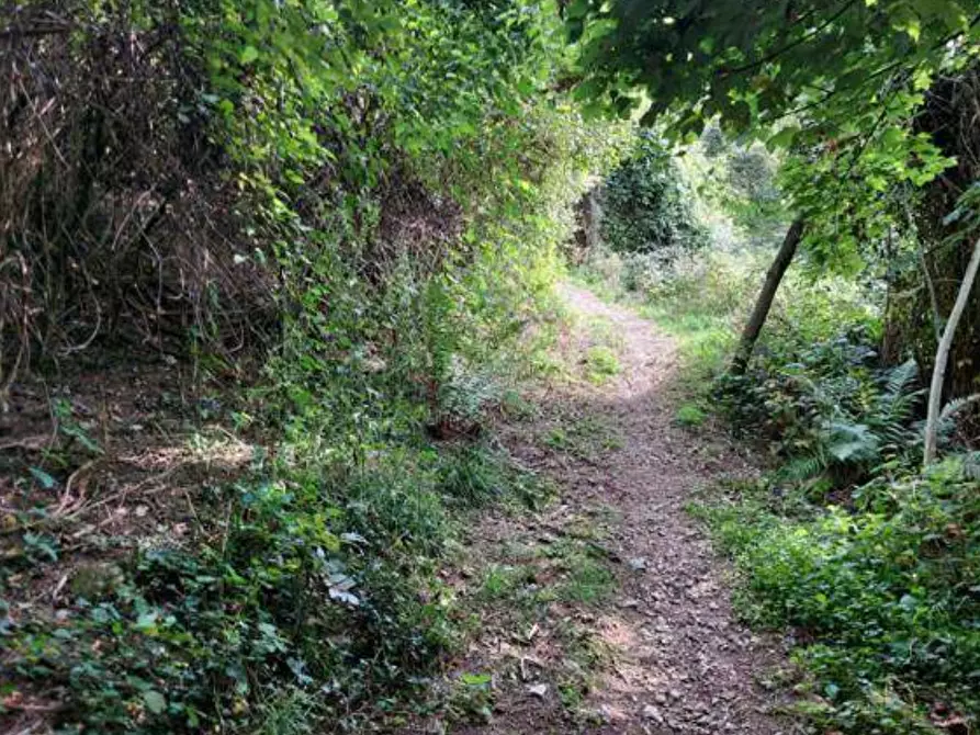 Immagine 36 di Capannone industriale in vendita  in via Spersiglio a Pradalunga