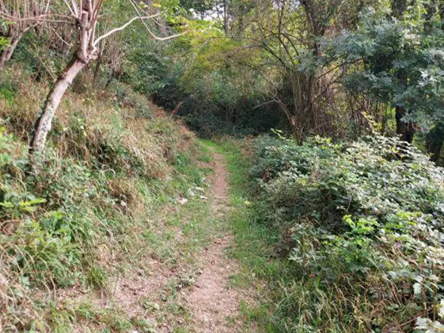 Immagine 37 di Capannone industriale in vendita  in via Spersiglio a Pradalunga