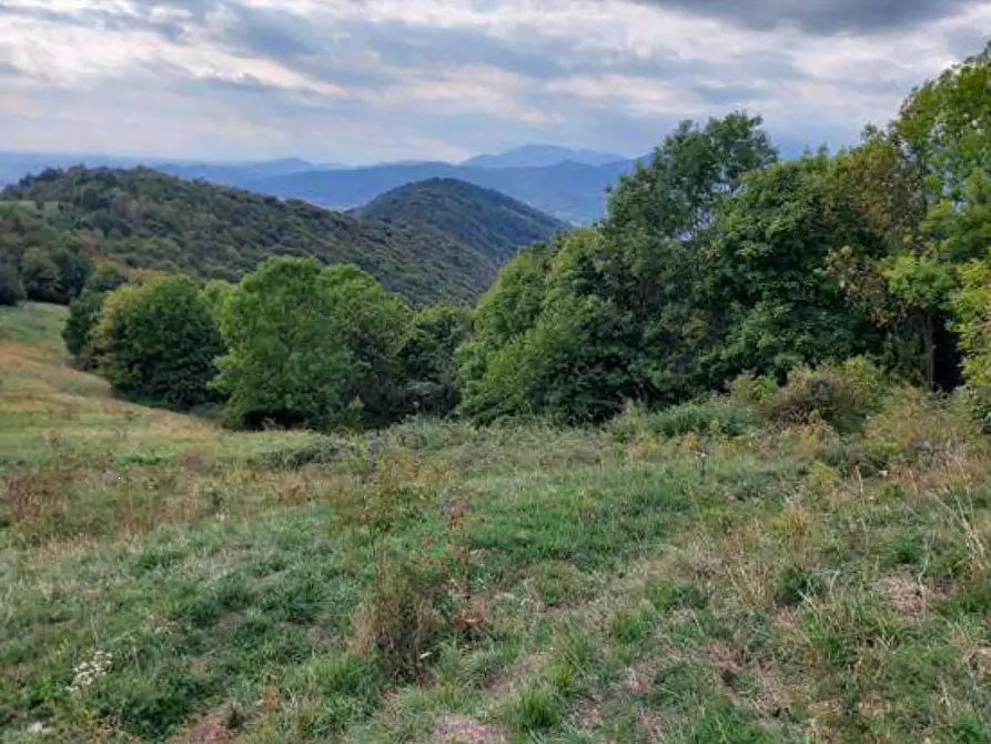 Immagine 42 di Capannone industriale in vendita  in via Spersiglio a Pradalunga