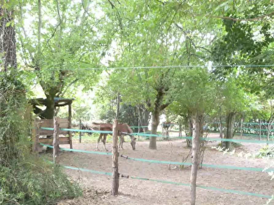 Immagine 3 di Appartamento in vendita  in Via Traversa Capitelllo a Concamarise