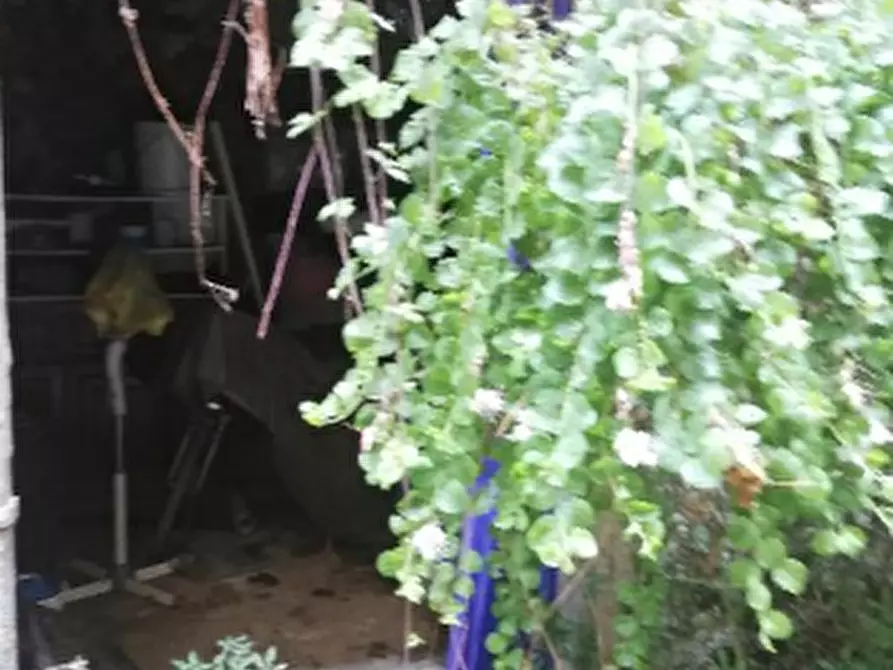 Immagine 7 di Appartamento in vendita  in Via Ser Ventura Monachi a Firenze