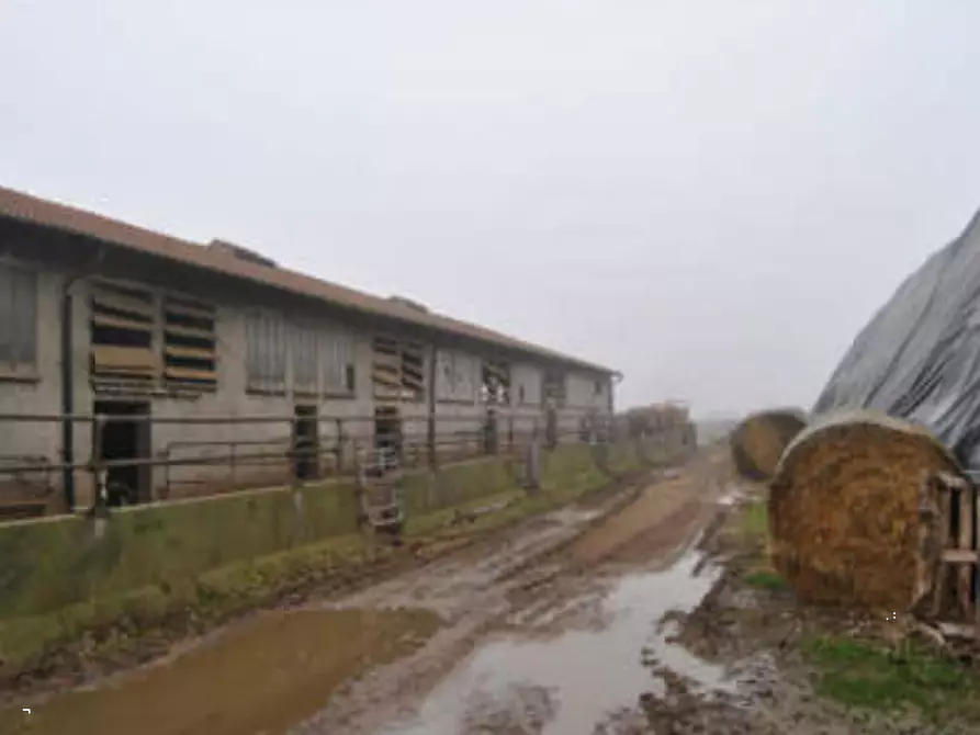 Immagine 6 di Casa indipendente in vendita  in Via Venenta a Argelato