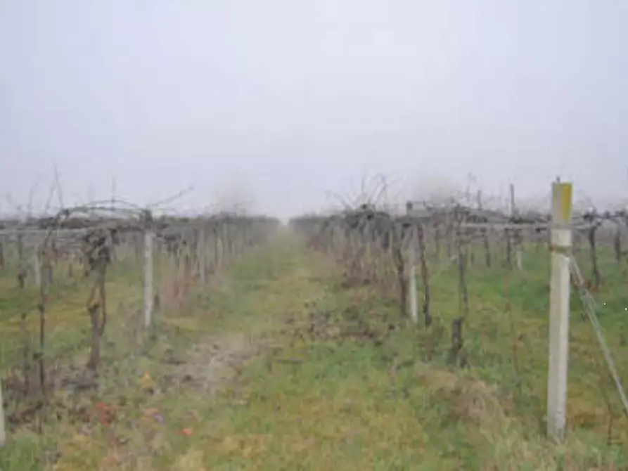 Immagine 11 di Casa indipendente in vendita  in Via Venenta a Argelato