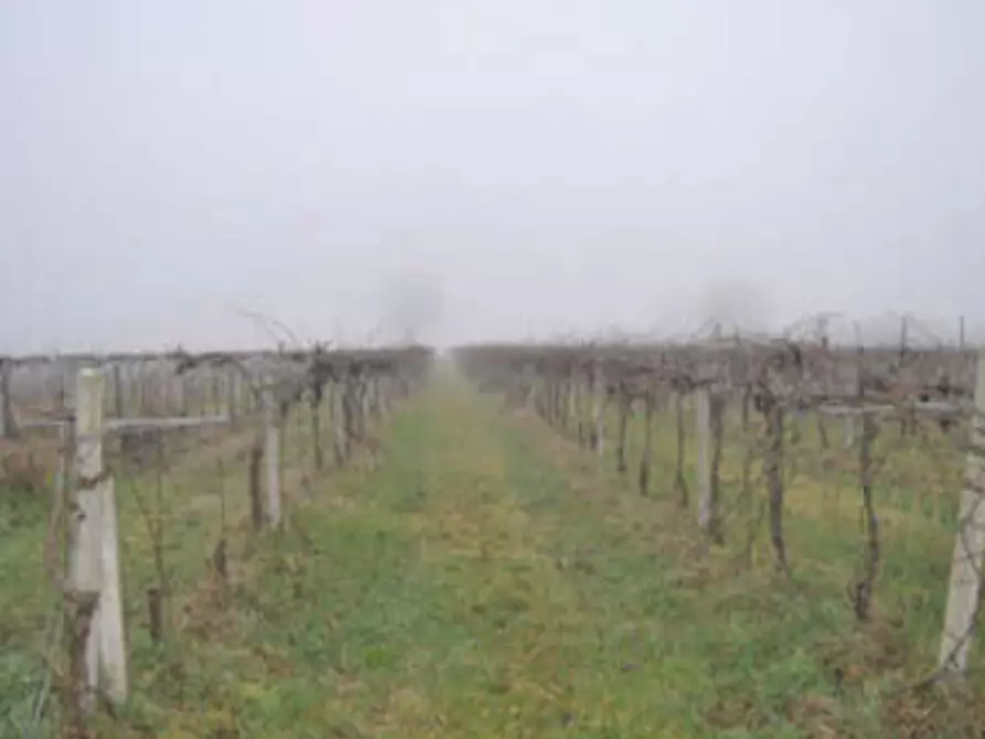 Immagine 9 di Casa indipendente in vendita  in Via Venenta a Argelato