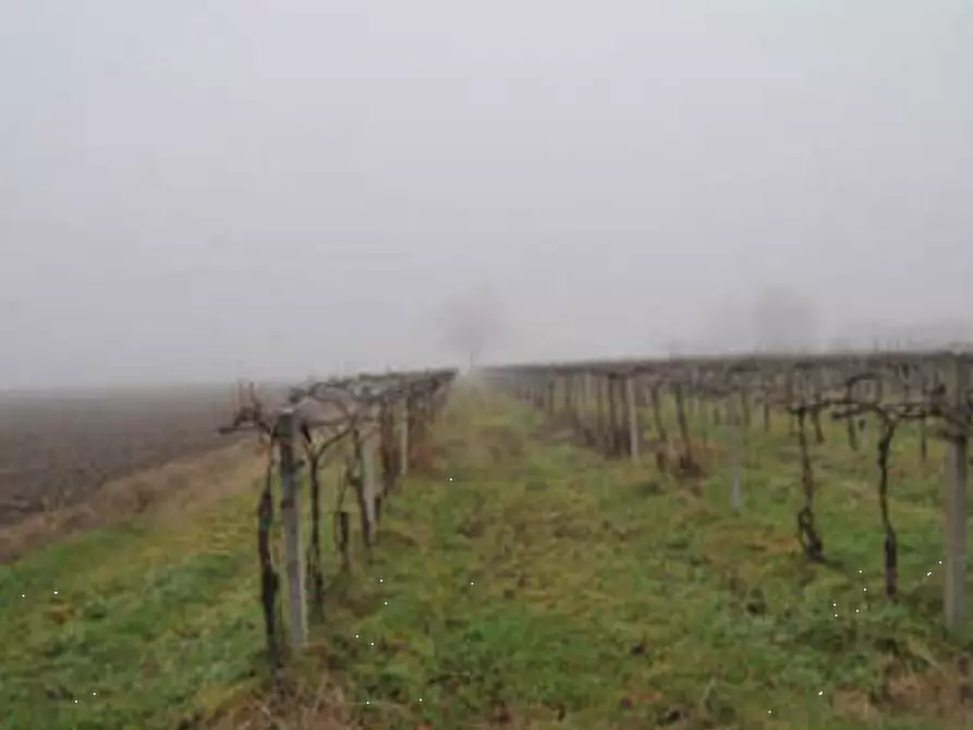 Immagine 12 di Casa indipendente in vendita  in Via Venenta a Argelato