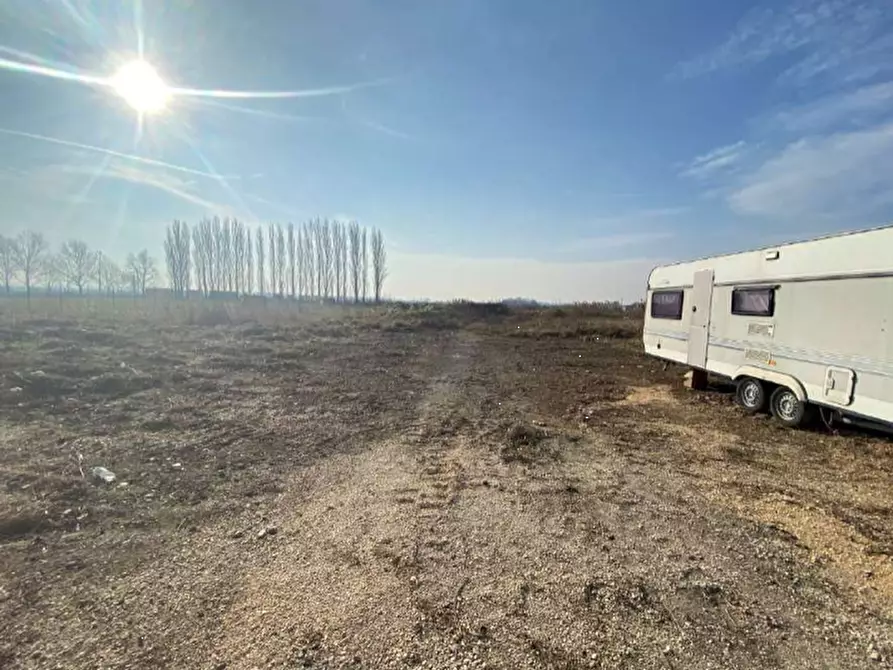 Immagine 3 di Terreno edificabile in vendita  in via Fiume Vecchio a Molinella