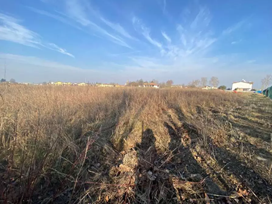 Immagine 4 di Terreno edificabile in vendita  in via Fiume Vecchio a Molinella