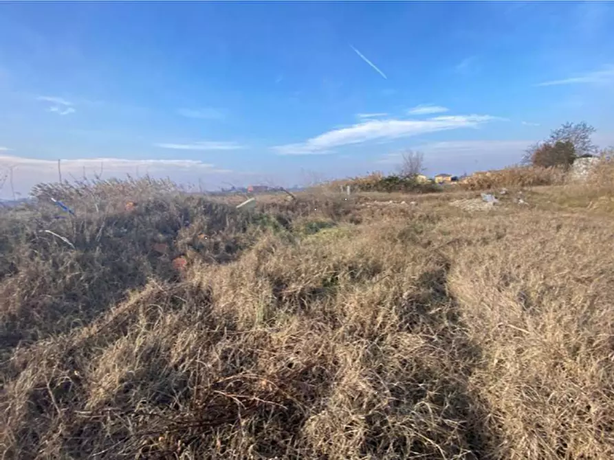 Immagine 5 di Terreno edificabile in vendita  in via Fiume Vecchio a Molinella