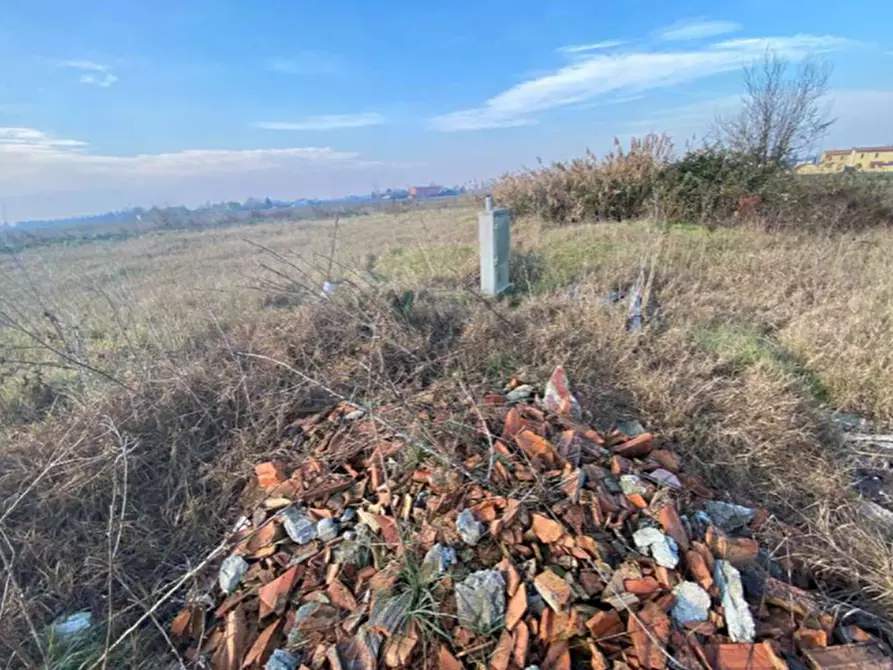 Immagine 16 di Terreno edificabile in vendita  in via Fiume Vecchio a Molinella