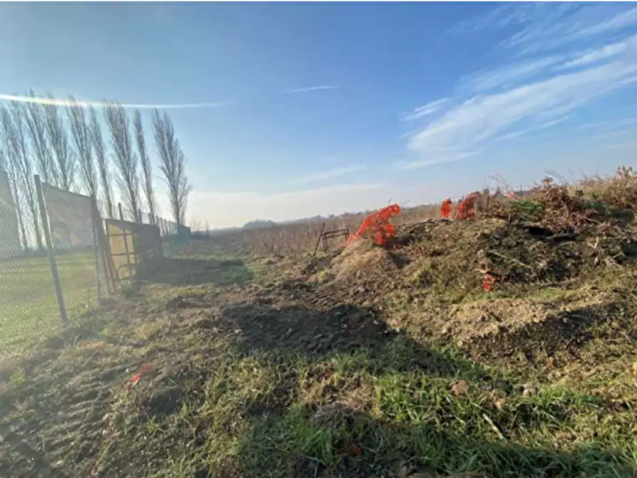 Immagine 17 di Terreno edificabile in vendita  in via Fiume Vecchio a Molinella