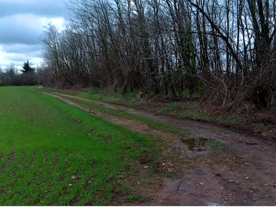 Immagine 3 di Terreno agricolo in vendita  in Via per Dairago a Busto Arsizio