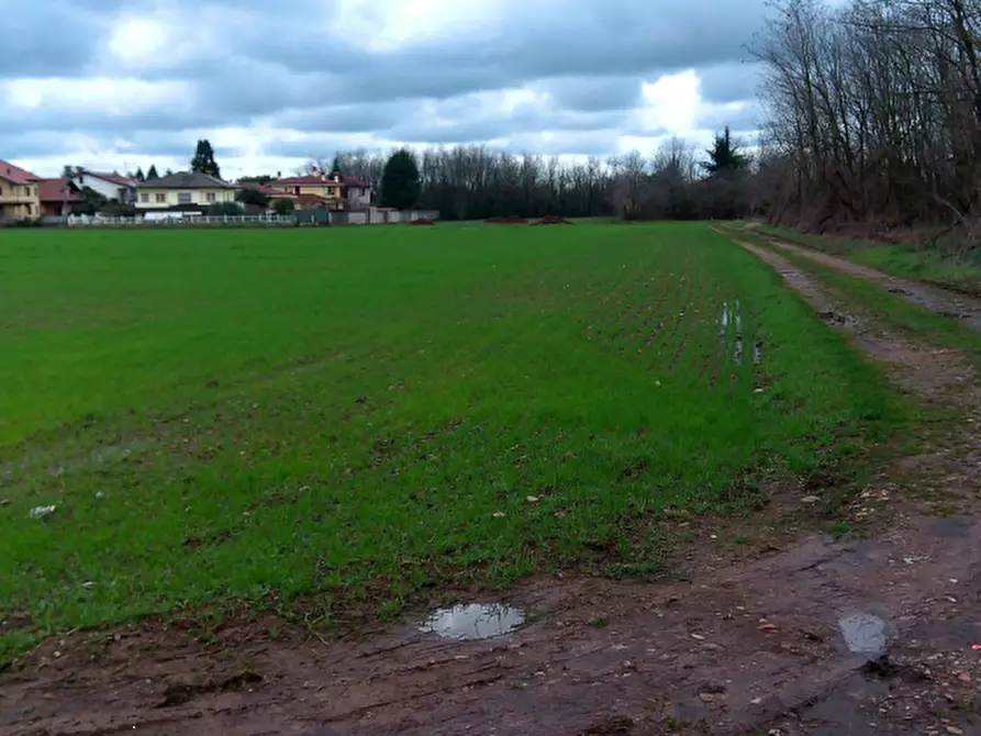 Immagine 5 di Terreno agricolo in vendita  in Via per Dairago a Busto Arsizio