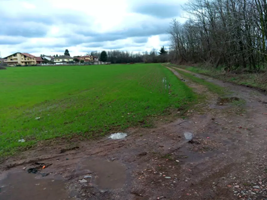 Immagine 6 di Terreno agricolo in vendita  in Via per Dairago a Busto Arsizio