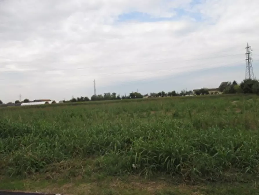 Immagine 1 di Terreno agricolo in vendita  in Via Milano a Treviglio