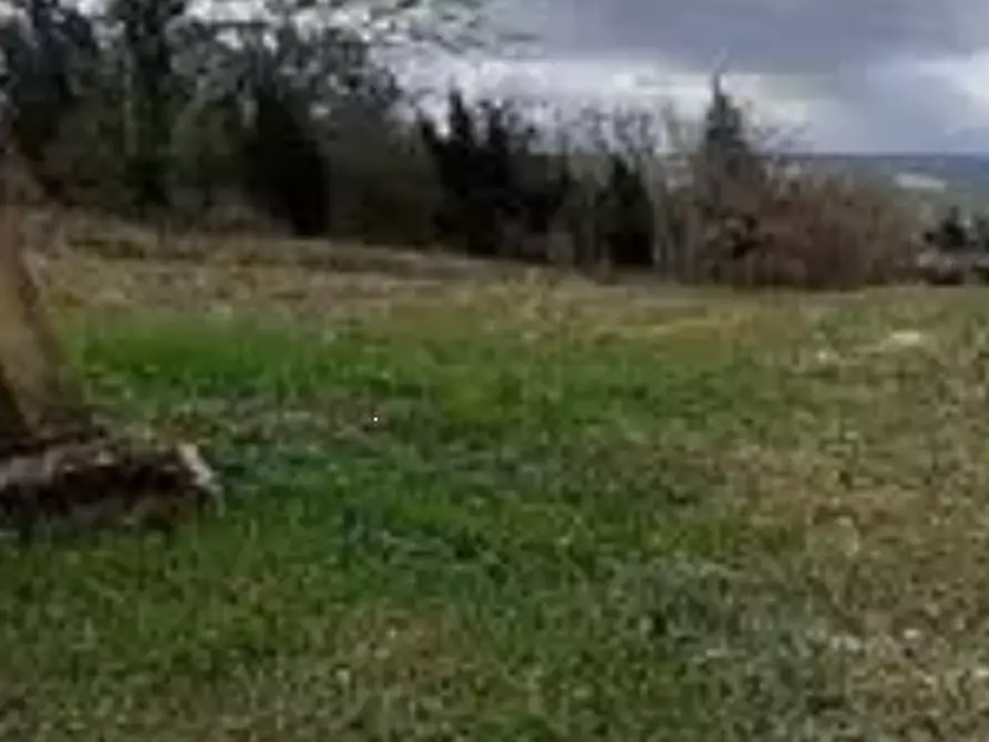 Immagine 3 di Terreno agricolo in vendita  in località Falerone a Falerone