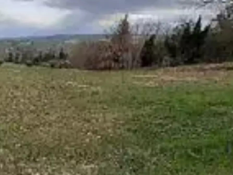Immagine 6 di Terreno agricolo in vendita  in località Falerone a Falerone