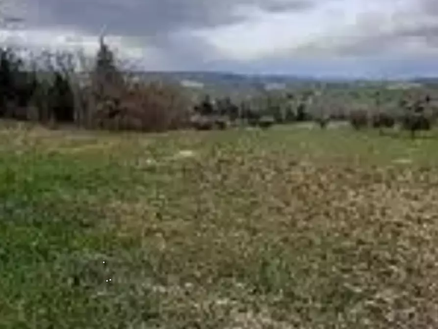 Immagine 7 di Terreno agricolo in vendita  in località Falerone a Falerone