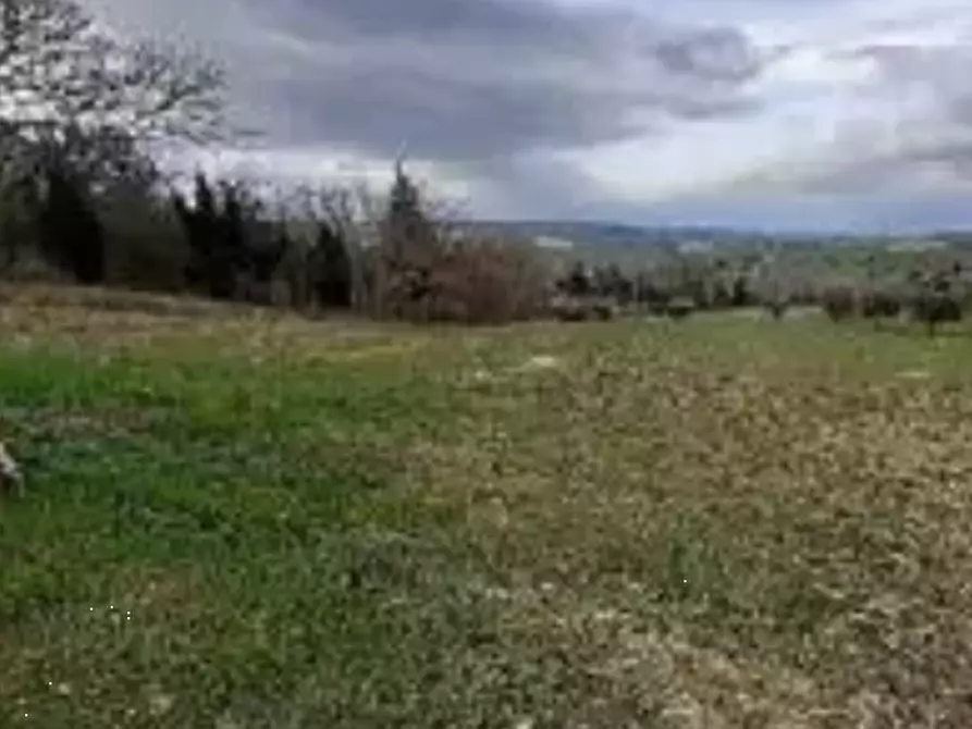 Immagine 9 di Terreno agricolo in vendita  in località Falerone a Falerone