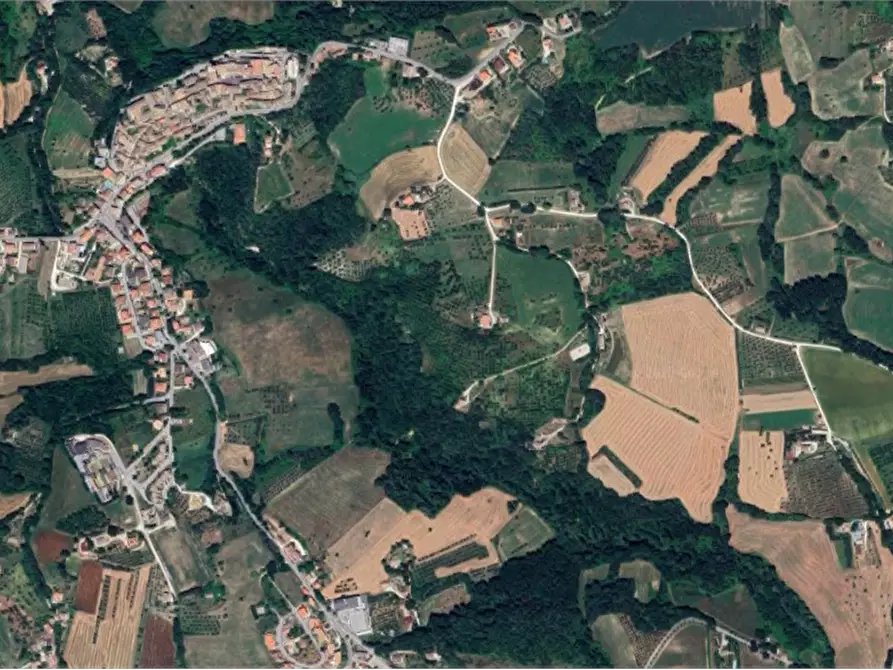 Immagine 11 di Terreno agricolo in vendita  in località Falerone a Falerone