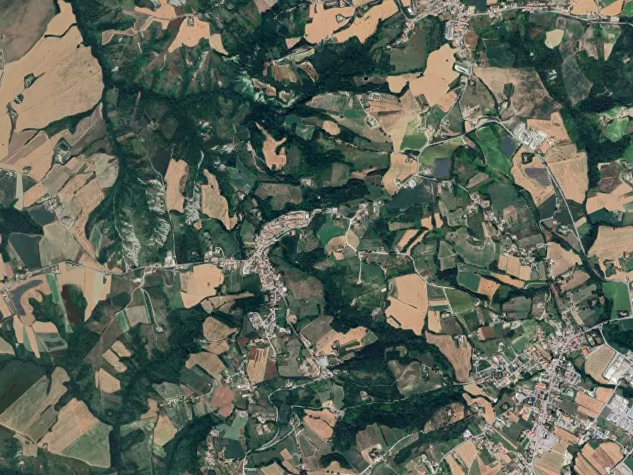 Immagine 13 di Terreno agricolo in vendita  in località Falerone a Falerone