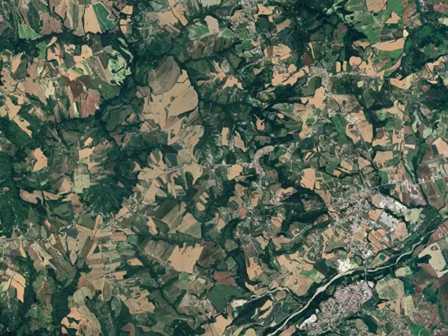 Immagine 15 di Terreno agricolo in vendita  in località Falerone a Falerone