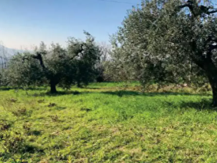 Immagine 1 di Terreno agricolo in vendita  in Strada Galilea a Sant'elpidio A Mare