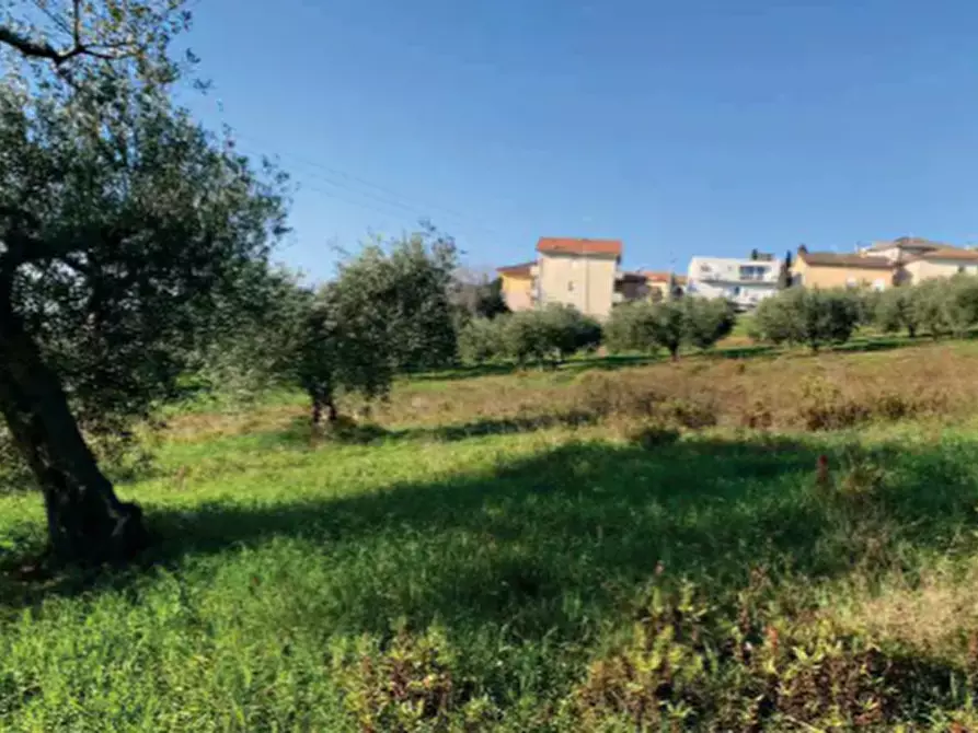 Immagine 2 di Terreno agricolo in vendita  in Strada Galilea a Sant'elpidio A Mare