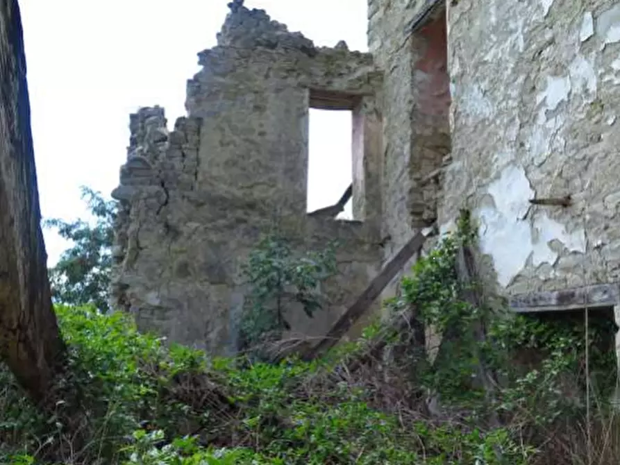 Immagine 5 di Stabile in vendita  in Via Serra Montecavalloro a Vergato