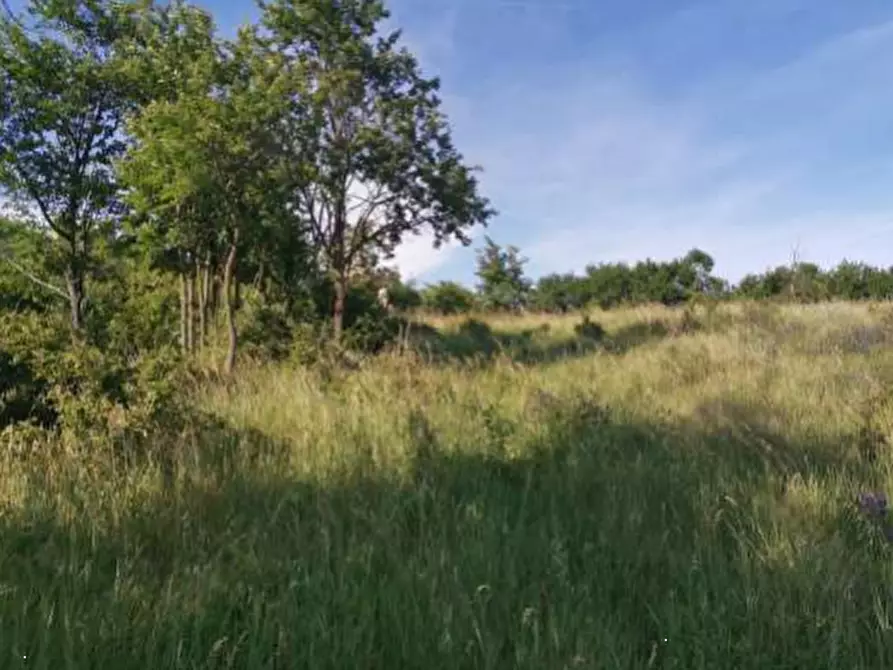 Immagine 9 di Stabile in vendita  in Via Serra Montecavalloro a Vergato