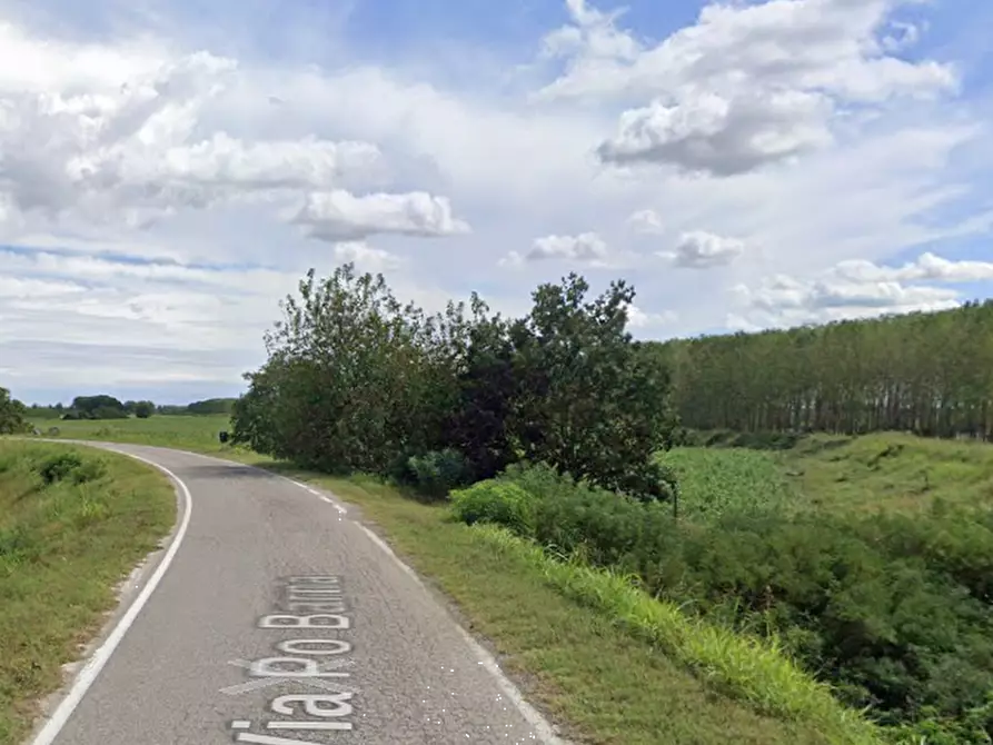 Immagine 9 di Terreno agricolo in vendita  in Strada Calvatone Volta Mantovana a Acquanegra Sul Chiese