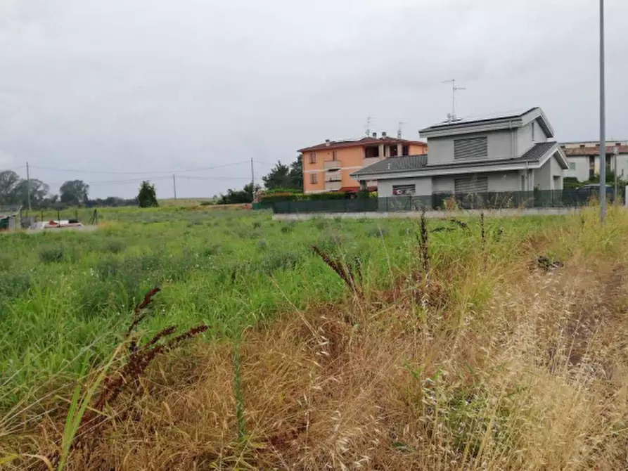 Immagine 2 di Terreno edificabile in vendita  in Via F. Coppi a Suzzara