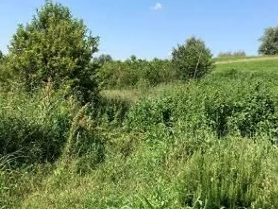 Immagine 10 di Casa indipendente in vendita  in Via Argine Secchia Sud a Quistello