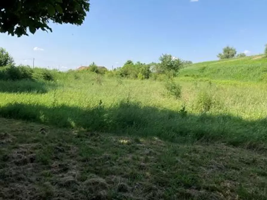 Immagine 11 di Casa indipendente in vendita  in Via Argine Secchia Sud a Quistello