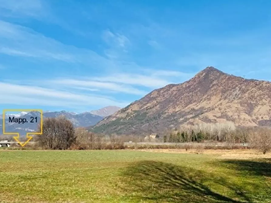 Immagine 3 di Terreno agricolo in vendita  in Località Rosta a Rosta