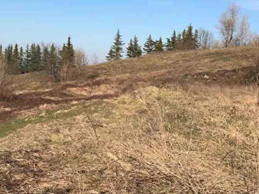 Immagine 1 di Terreno edificabile in vendita  in Località Boffalora a Gazzola