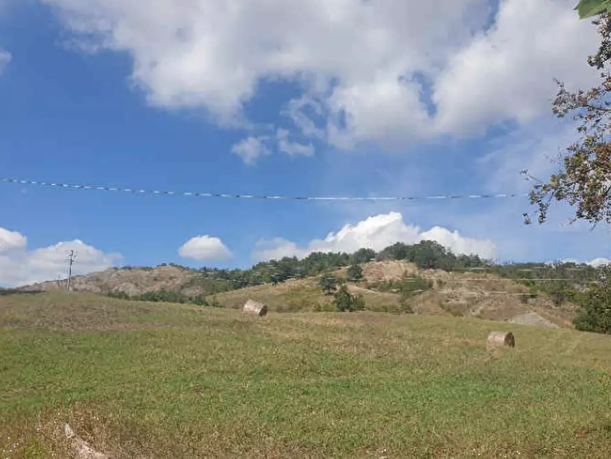Immagine 1 di Terreno agricolo in vendita  in Via Statale a Vezzano Sul Crostolo