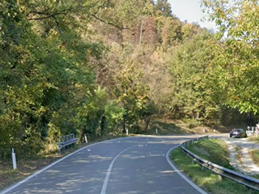 Immagine 3 di Terreno agricolo in vendita  in Via Statale a Vezzano Sul Crostolo